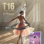 T16 Type-C Earphones – 10mm Driver, Black Gunmetal, Unique Design, Mic & Media Control, Universal Type-C Compatibility