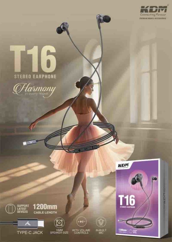 T16 Type-C Earphones – 10mm Driver, Black Gunmetal, Unique Design, Mic & Media Control, Universal Type-C Compatibility